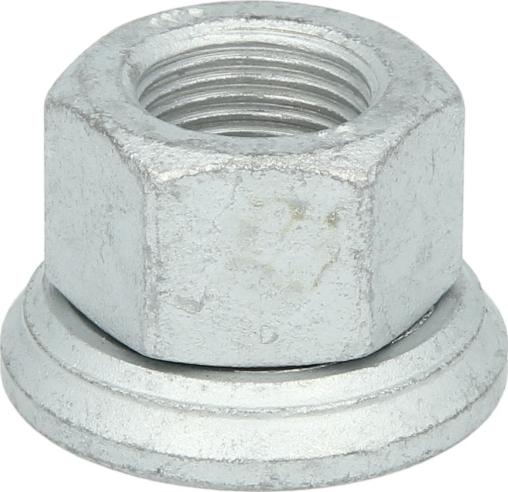 FEBI Bilstein 45019 - Écrou de roue droxauto.com