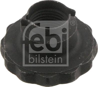 FEBI Bilstein 46689 - Écrou, bout d'essieu droxauto.com