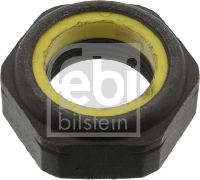 FEBI Bilstein 06243 - Écrou, bout d'essieu droxauto.com