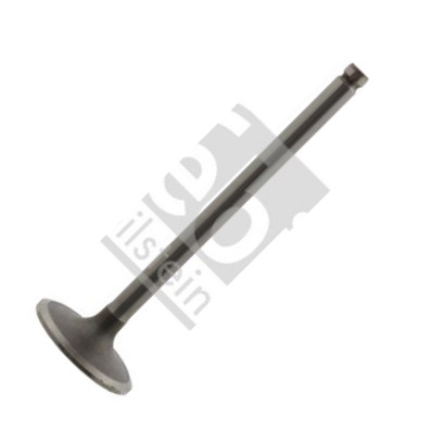 FEBI Bilstein 18767 - Soupape d'admission droxauto.com