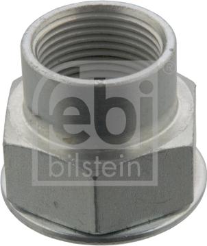 FEBI Bilstein 12523 - Écrou, bout d'essieu droxauto.com