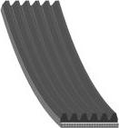 FEBI Bilstein 28983 - Courroie trapézoïdale à nervures droxauto.com