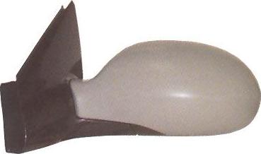 FERRON 11CI52004 - Rétroviseur extérieur droxauto.com