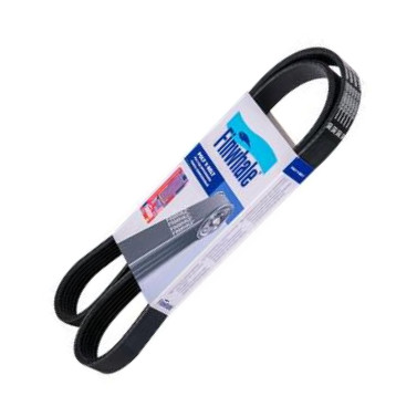 Finwhale BP6PK1255 - Courroie trapézoïdale à nervures droxauto.com