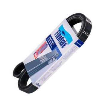 Finwhale BP6PK1513 - Courroie trapézoïdale à nervures droxauto.com