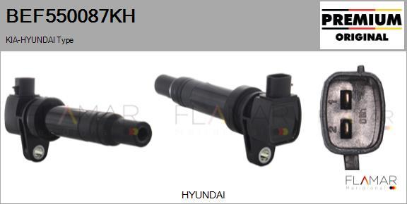 FLAMAR BEF550087KH - Bobine d'allumage droxauto.com