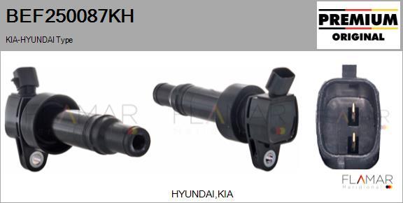 FLAMAR BEF250087KH - Bobine d'allumage droxauto.com
