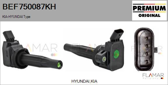 FLAMAR BEF750087KH - Bobine d'allumage droxauto.com