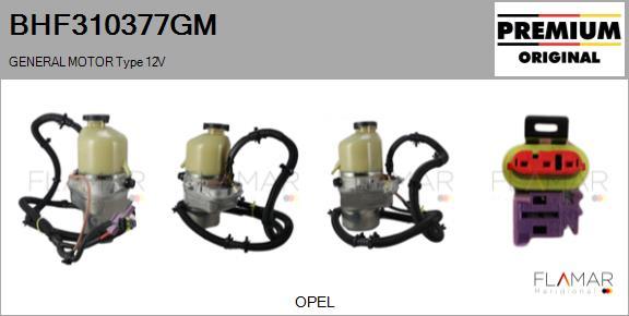 FLAMAR BHF310377GM - Pompe hydraulique, direction droxauto.com