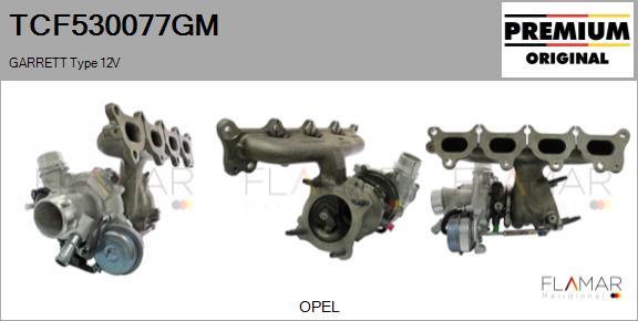 FLAMAR TCF530077GM - Turbocompresseur, suralimentation droxauto.com