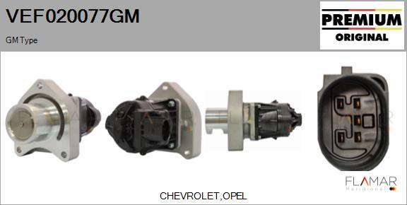 FLAMAR VEF020077GM - Vanne EGR droxauto.com