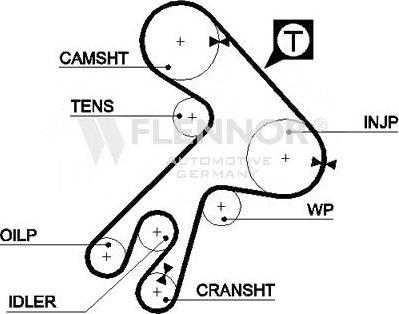 Flennor 4946V - Courroie de distribution droxauto.com