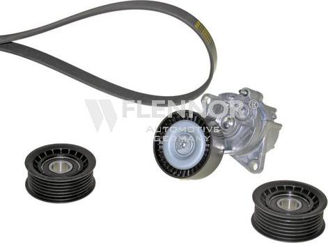 Flennor F916PK2260 - Jeu de courroies trapézoïdales à nervures droxauto.com