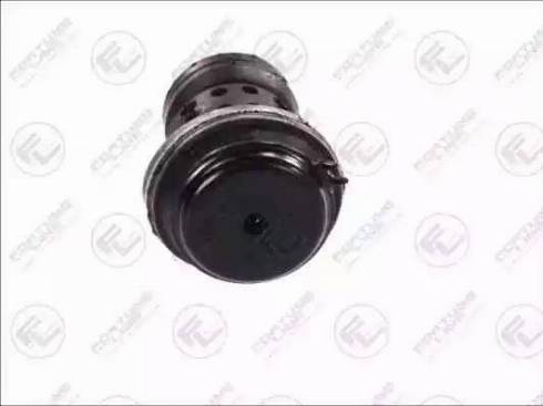 Fortune Line FZ9925 - Support moteur droxauto.com