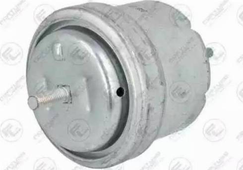Fortune Line FZ90667 - Support moteur droxauto.com
