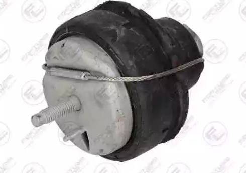 Fortune Line FZ90841 - Support moteur droxauto.com
