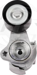 FREY 821202301 - Tendeur de courroie, courroie trapézoïdale à nervures droxauto.com