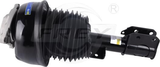 FREY 750439701 - Amortisseur droxauto.com
