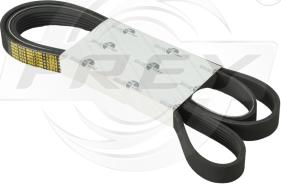 FREY 721601401 - Courroie trapézoïdale à nervures droxauto.com