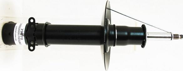 Gabriel-MX 79070 - Amortisseur droxauto.com