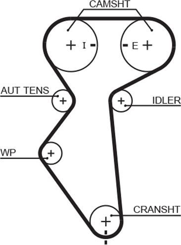 GATES 5419XS - Courroie de distribution droxauto.com