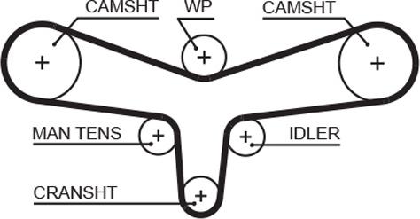 GATES 5557XS - Courroie de distribution droxauto.com
