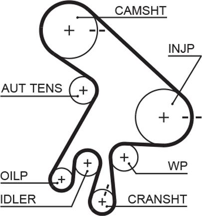 GATES 5562XS - Courroie de distribution droxauto.com