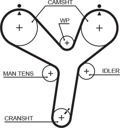 GATES 5536XS - Courroie de distribution droxauto.com