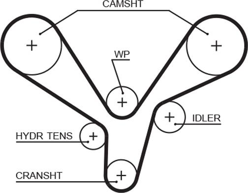 GATES 5636XS - Courroie de distribution droxauto.com