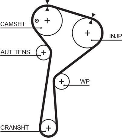 GATES 5675XS - Courroie de distribution droxauto.com