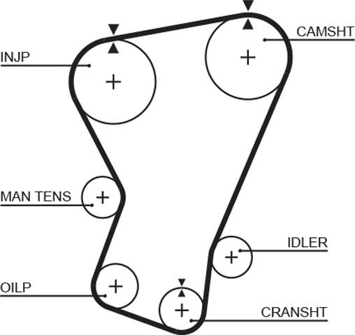 GATES 5065 - Courroie de distribution droxauto.com