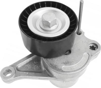 GOOM BT-0058 - Tendeur de courroie, courroie trapézoïdale à nervures droxauto.com