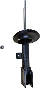 GOOM F210G0591 - Amortisseur droxauto.com