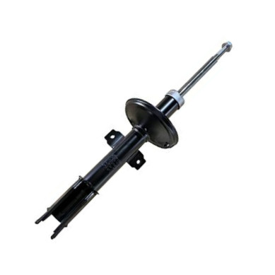 GOOM F210G0675 - Amortisseur droxauto.com