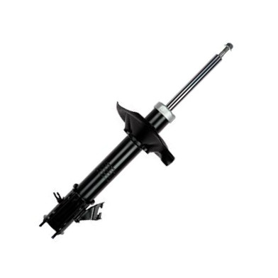 GOOM F210G0065 - Amortisseur droxauto.com