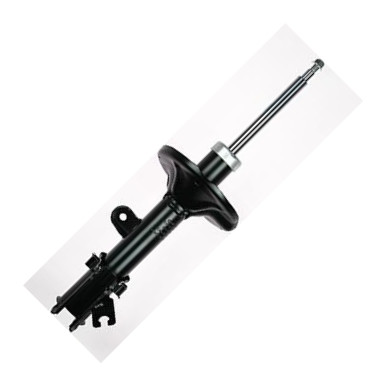 GOOM F210G0191 - Amortisseur droxauto.com