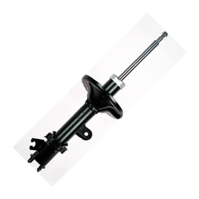 GOOM F210G0174 - Amortisseur droxauto.com