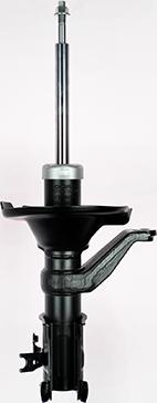 GOOM F210G0261 - Amortisseur droxauto.com