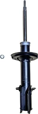 GOOM F210G1466 - Amortisseur droxauto.com