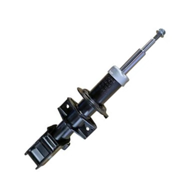 GOOM F210G1419 - Amortisseur droxauto.com