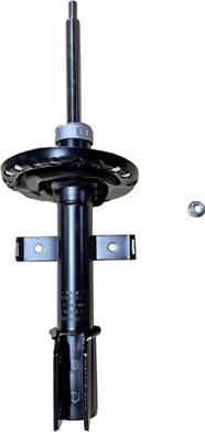 GOOM F210G1433 - Amortisseur droxauto.com