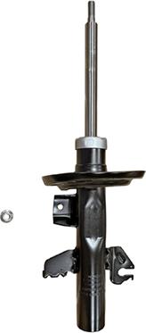 GOOM F210G1593 - Amortisseur droxauto.com