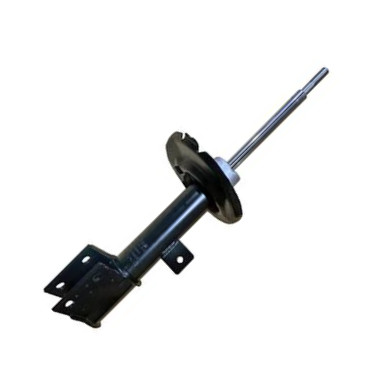 GOOM F210G1556 - Amortisseur droxauto.com