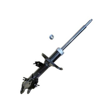 GOOM F210G1154 - Amortisseur droxauto.com