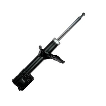 GOOM F220G0933 - Amortisseur droxauto.com