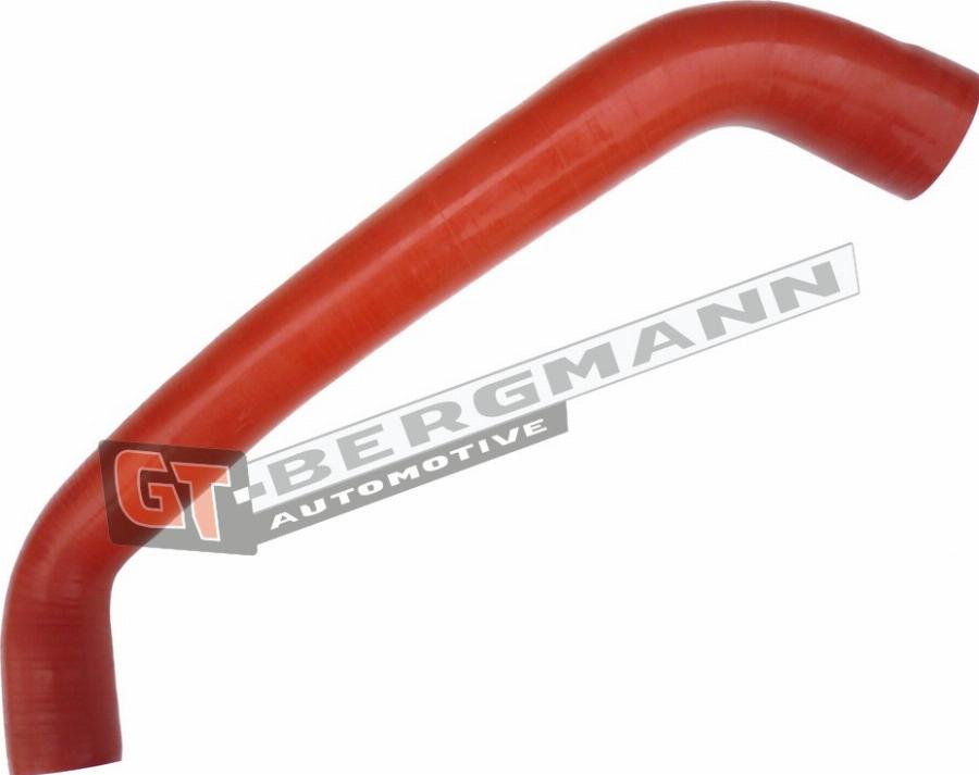 GT-BERGMANN GT52-449 - Gaine de suralimentation droxauto.com