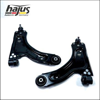 hajus Autoteile 4071255 - Jeu de bras, suspension de roue droxauto.com