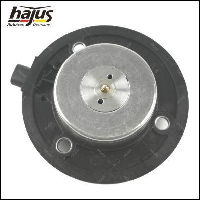 hajus Autoteile 1151480 - Unité magnétique centrale, réglage d'arbres à came droxauto.com