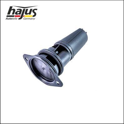 hajus Autoteile 1151174 - Séparateur d'huile, prise de recyclage des gas de carter droxauto.com