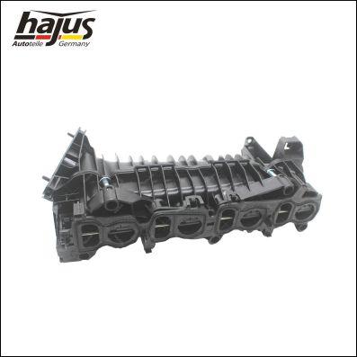 hajus Autoteile 2511066 - Module de tube d'admission droxauto.com